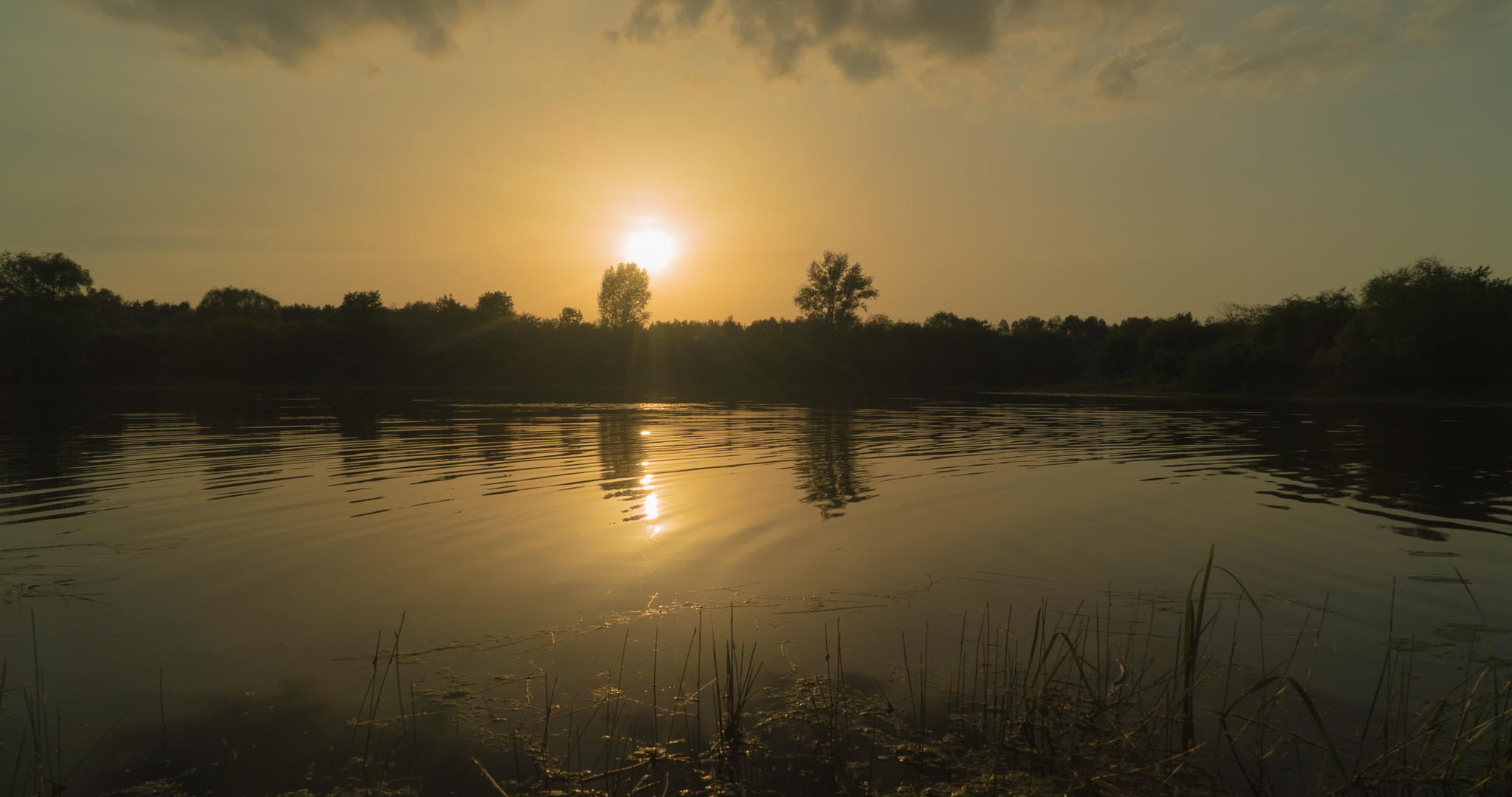 河边的日落视频的预览图