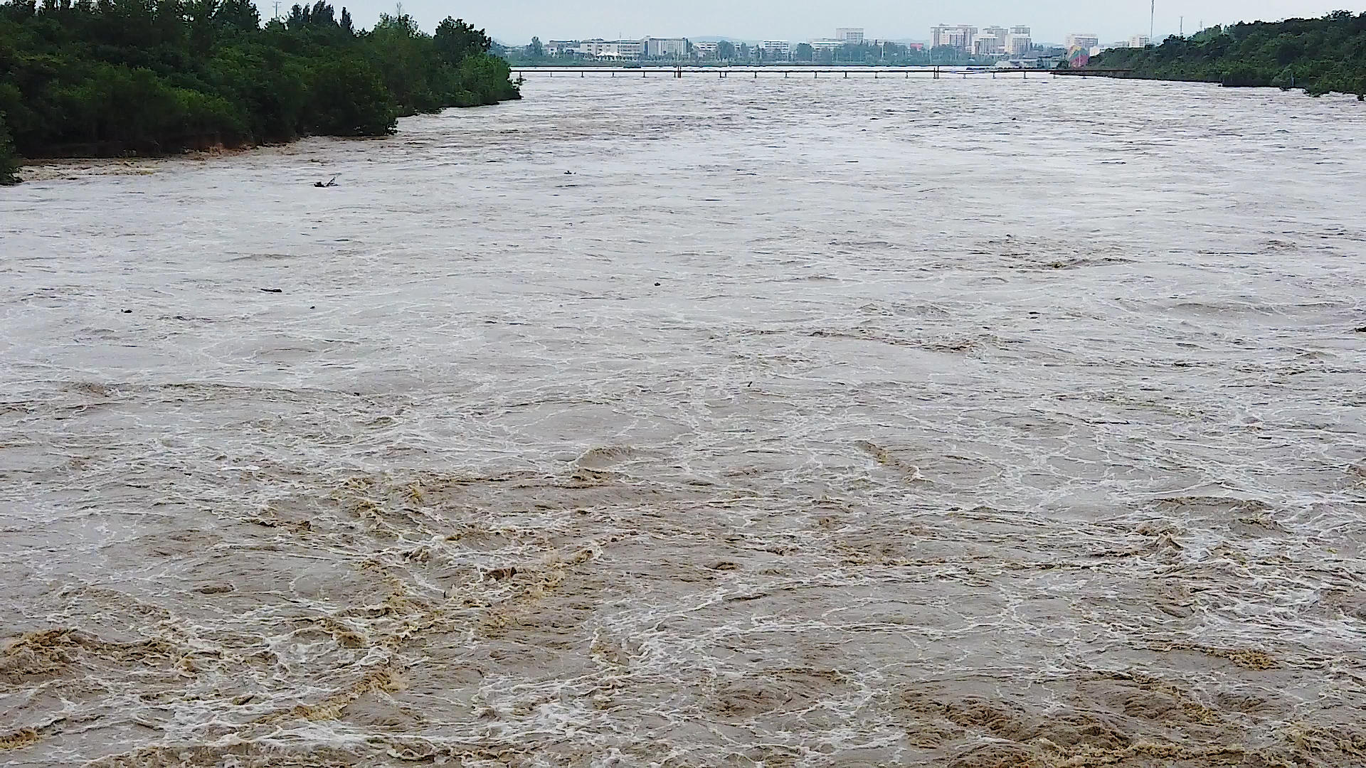 洪水蔓延视频的预览图
