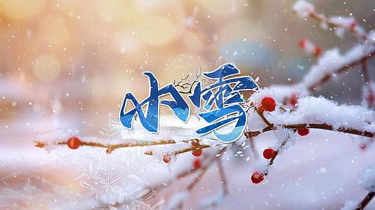 小雪节气传统文化宣传展示视频的预览图