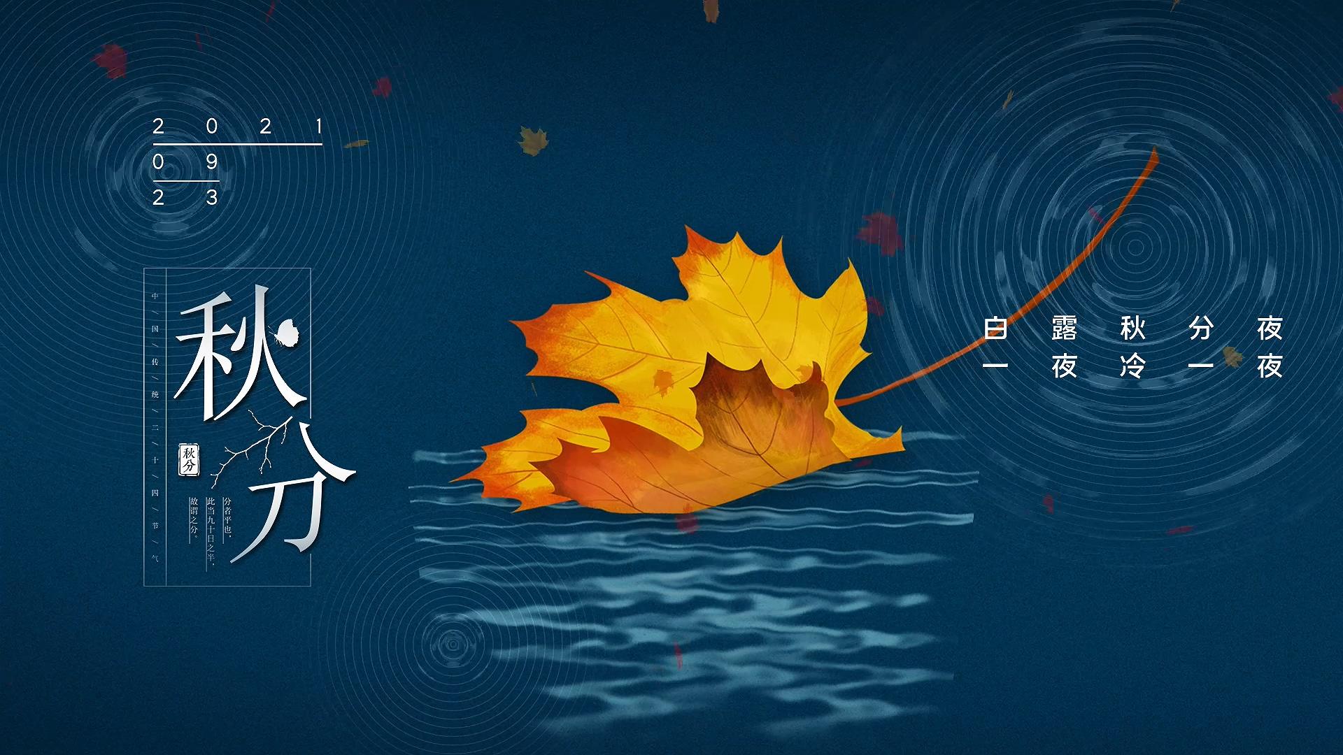 简洁秋分节日节气宣传展示ＡＥ模板视频的预览图