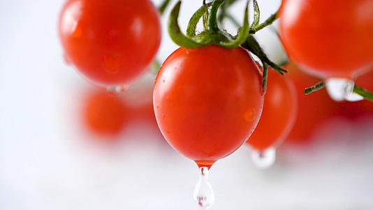 升格圣女果小番茄新鲜水果视频的预览图