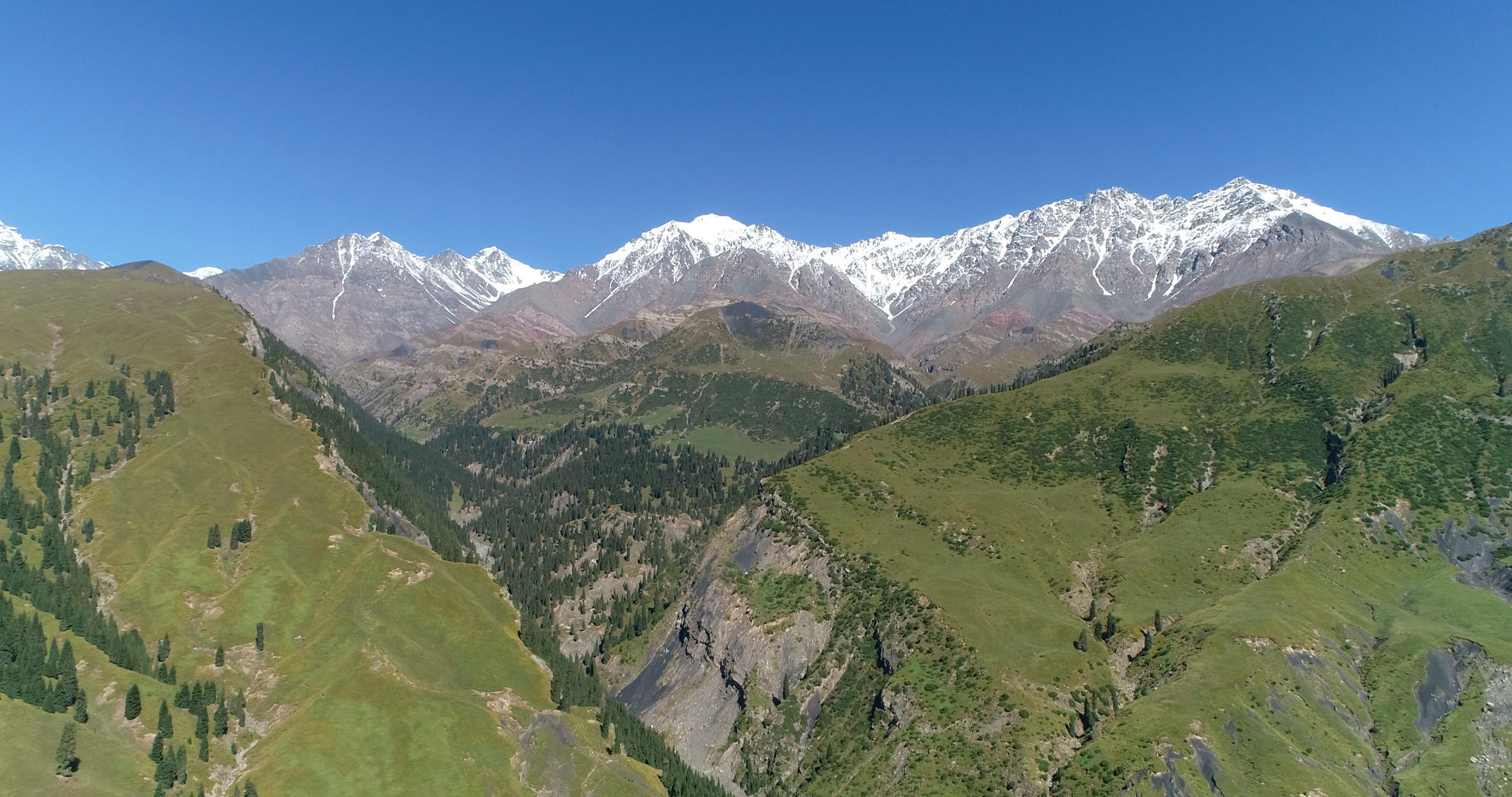 新疆天山草原4K航拍视频的预览图