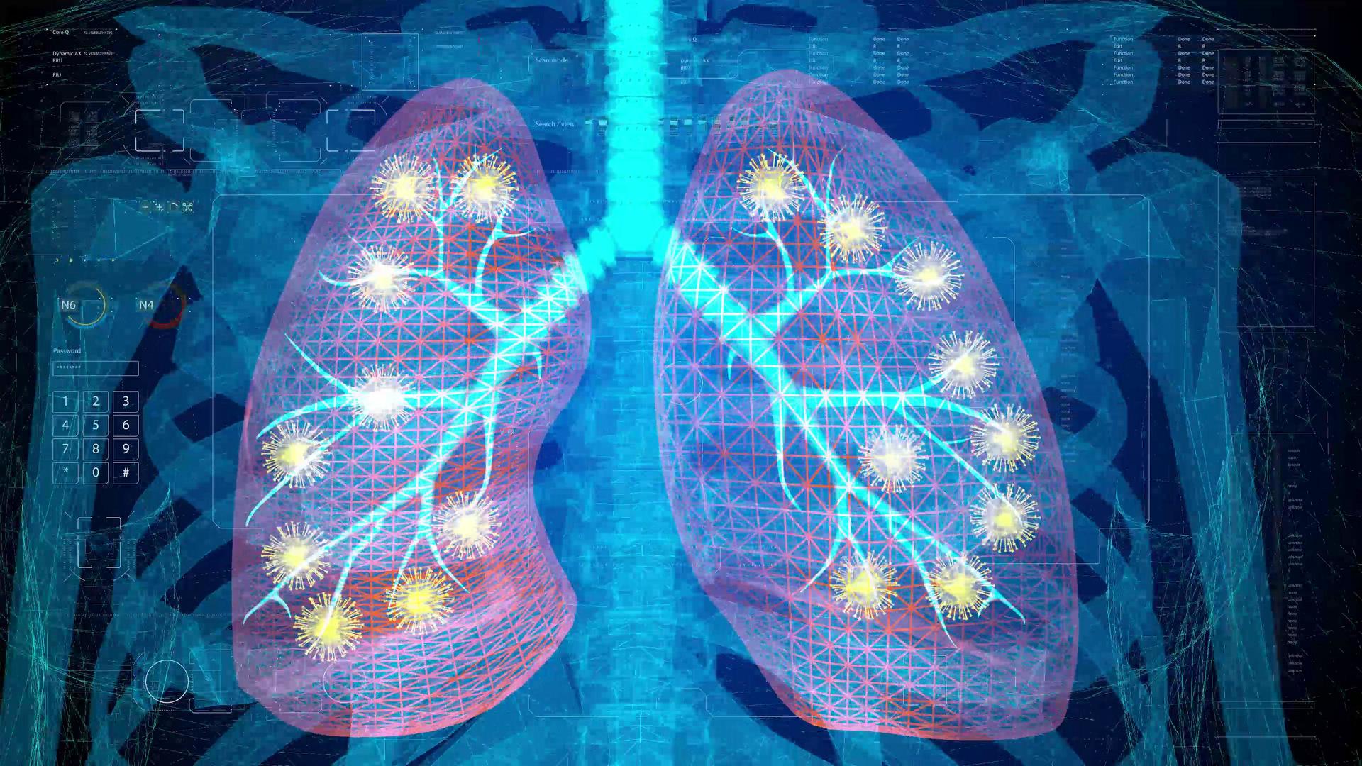 超强三维科技人体肺部视频视频的预览图