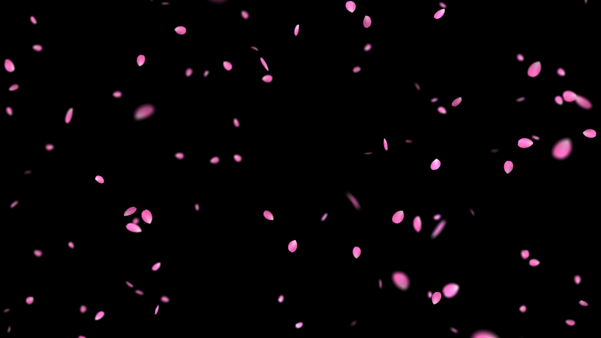 三维桃花花瓣飞舞视频素材视频的预览图