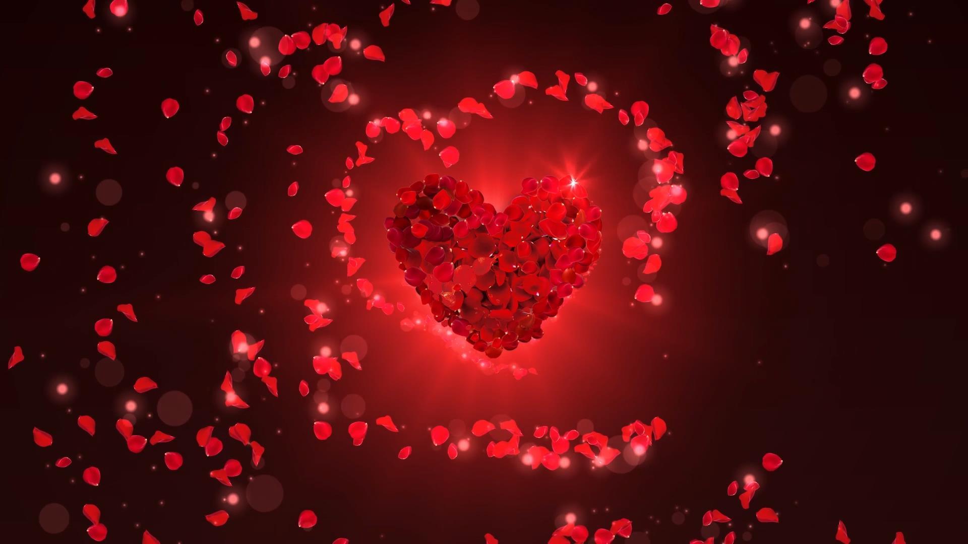 七夕唯美光效动态爱心玫瑰花动态花瓣散发背景视频素材视频的预览图