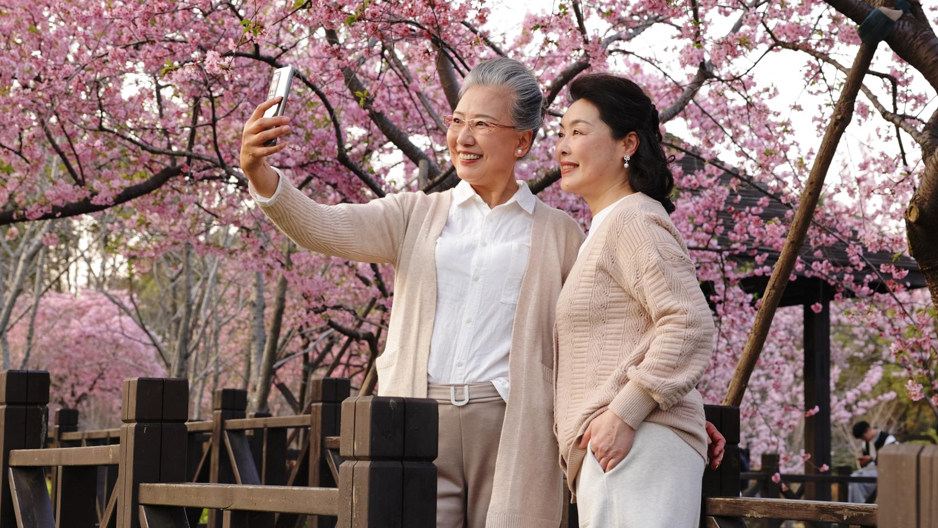 樱花树下自拍的老年人视频的预览图