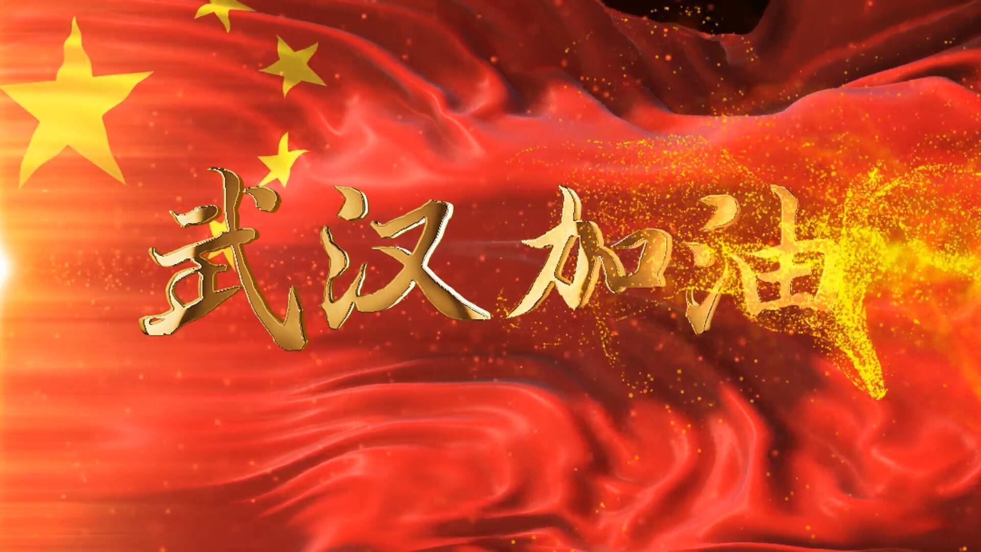 武汉加油金字红旗背景视频的预览图