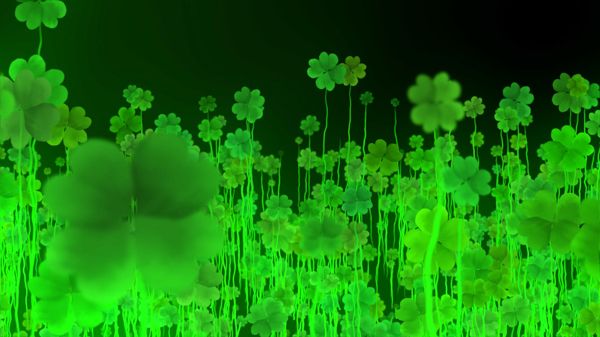 4K四叶草生长动画视频素材视频的预览图