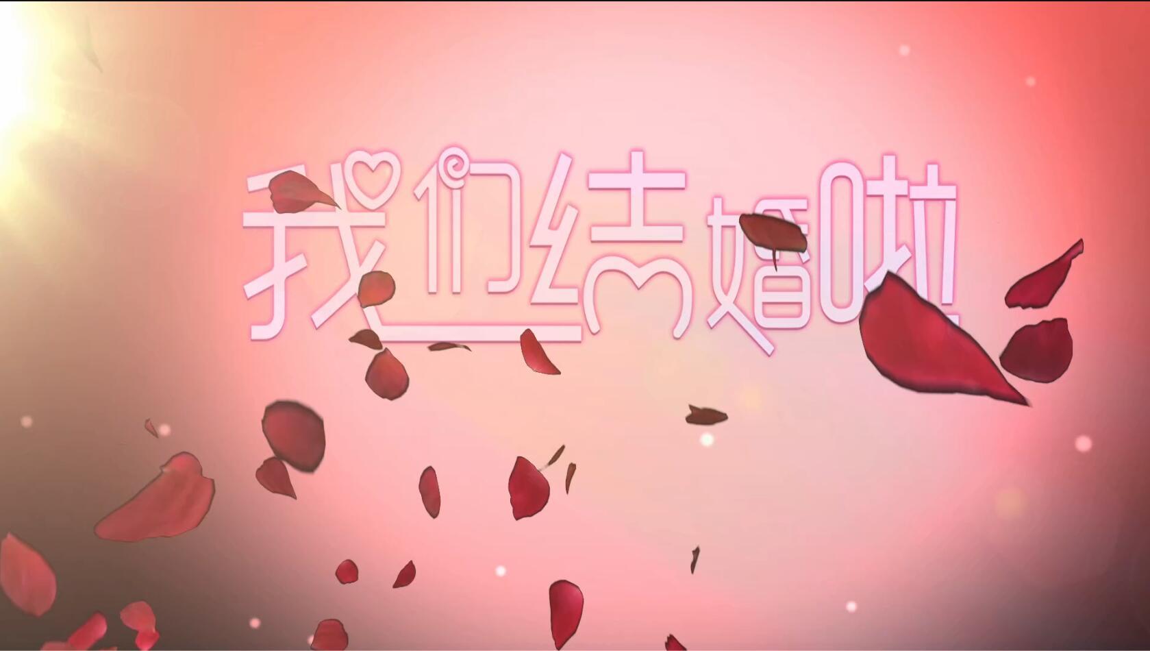 红色玫瑰飘落婚礼结婚片头视频视频的预览图