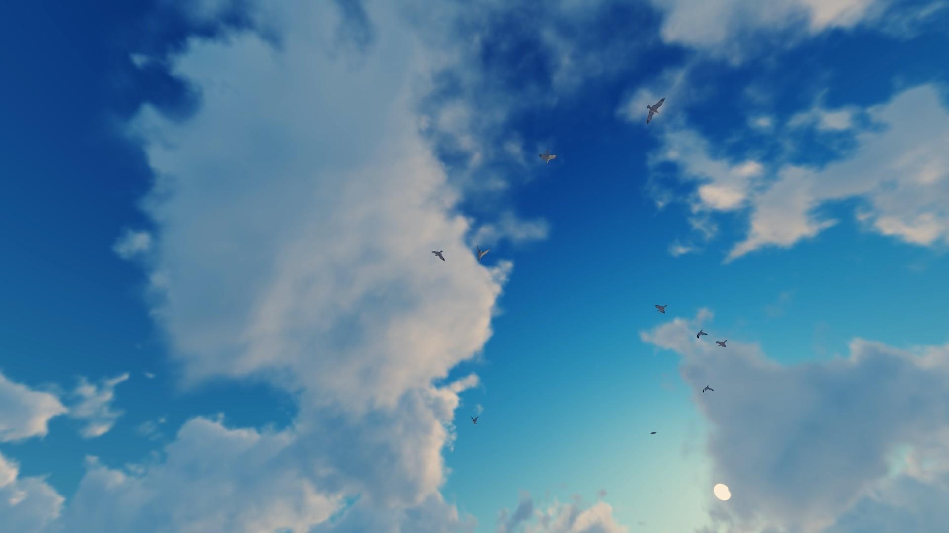 蓝天海鸥视频的预览图