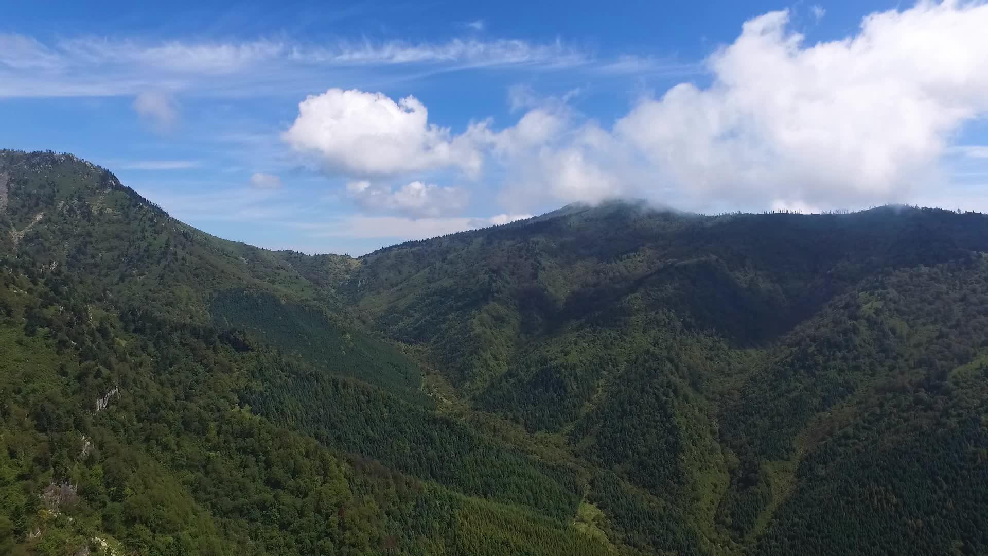 空镜航拍在秦岭山区视频的预览图