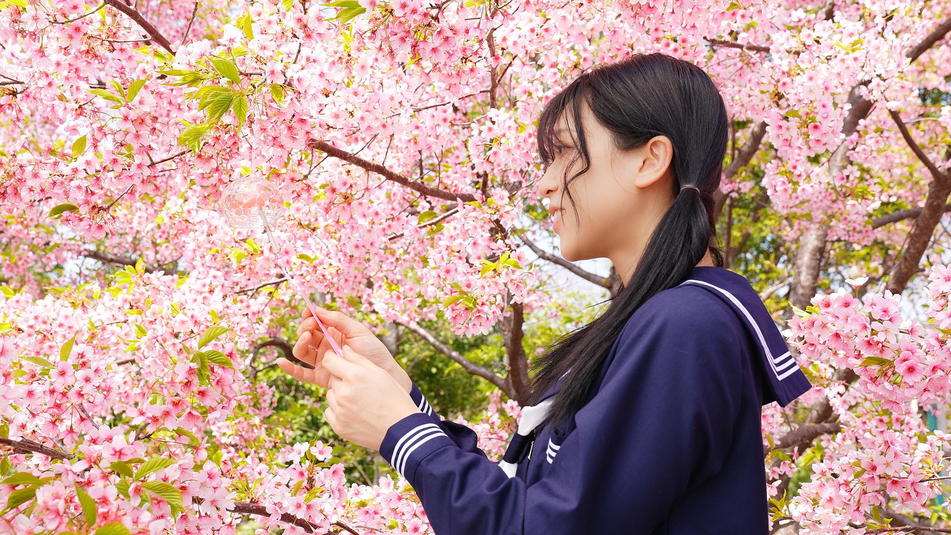 穿着JK制服的少女在樱花树上挂风铃视频的预览图