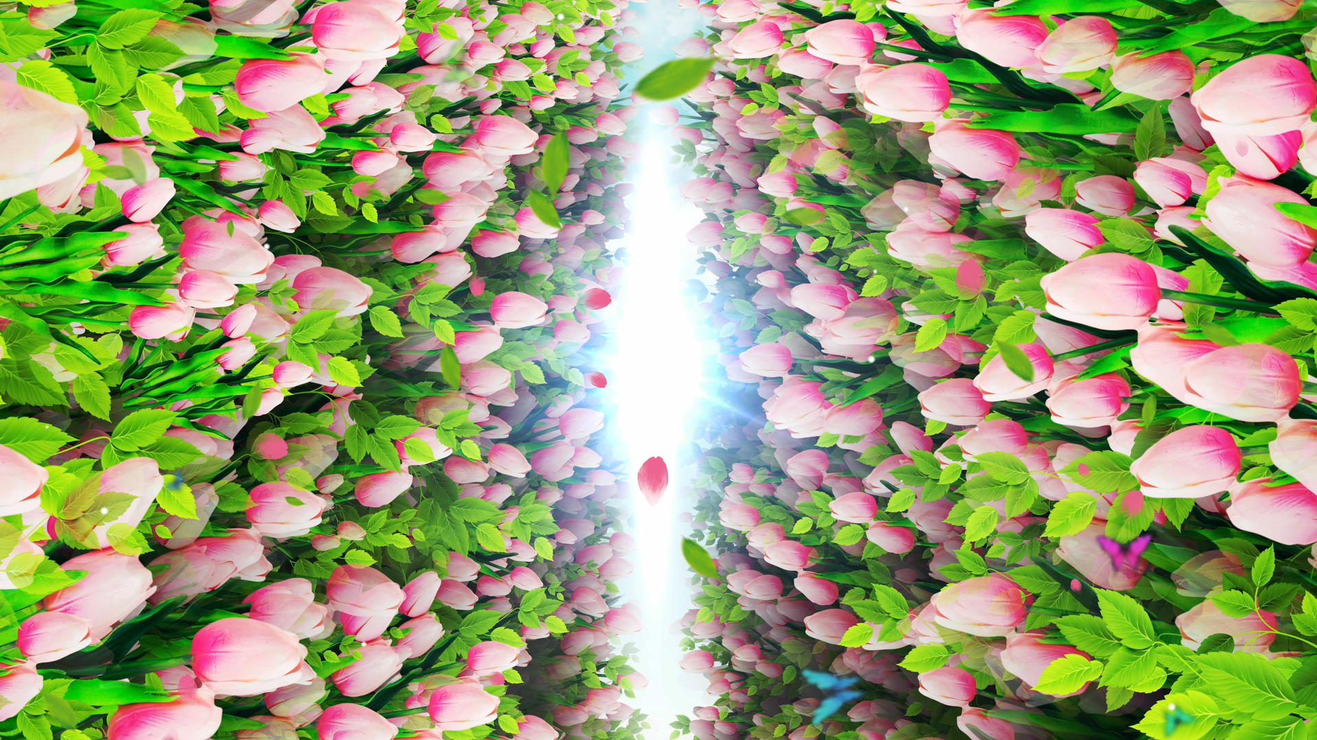 4K唯美的郁金香花墙背景素材视频的预览图