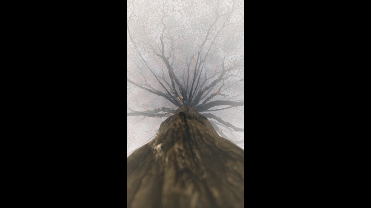 大树忧伤环保背景视频的预览图