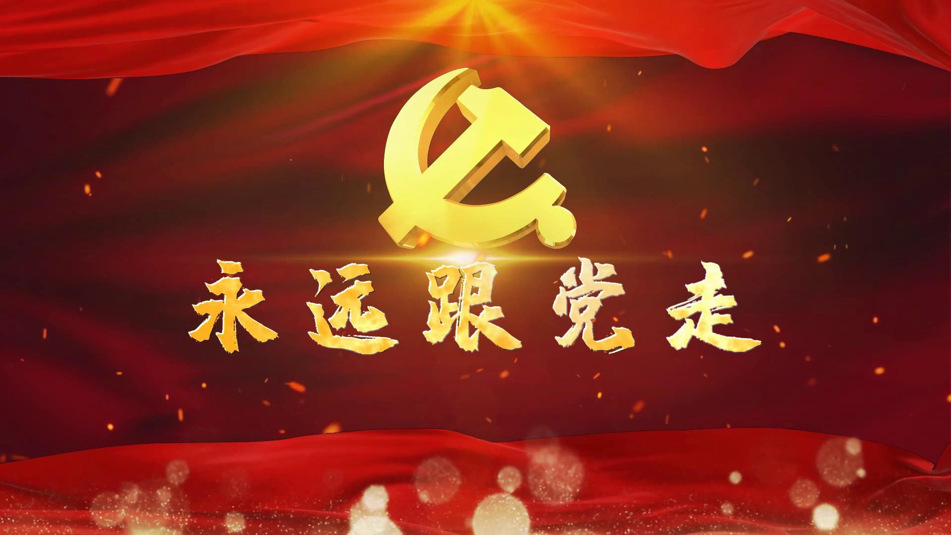 不忘初心党政宣传红色背景视频的预览图