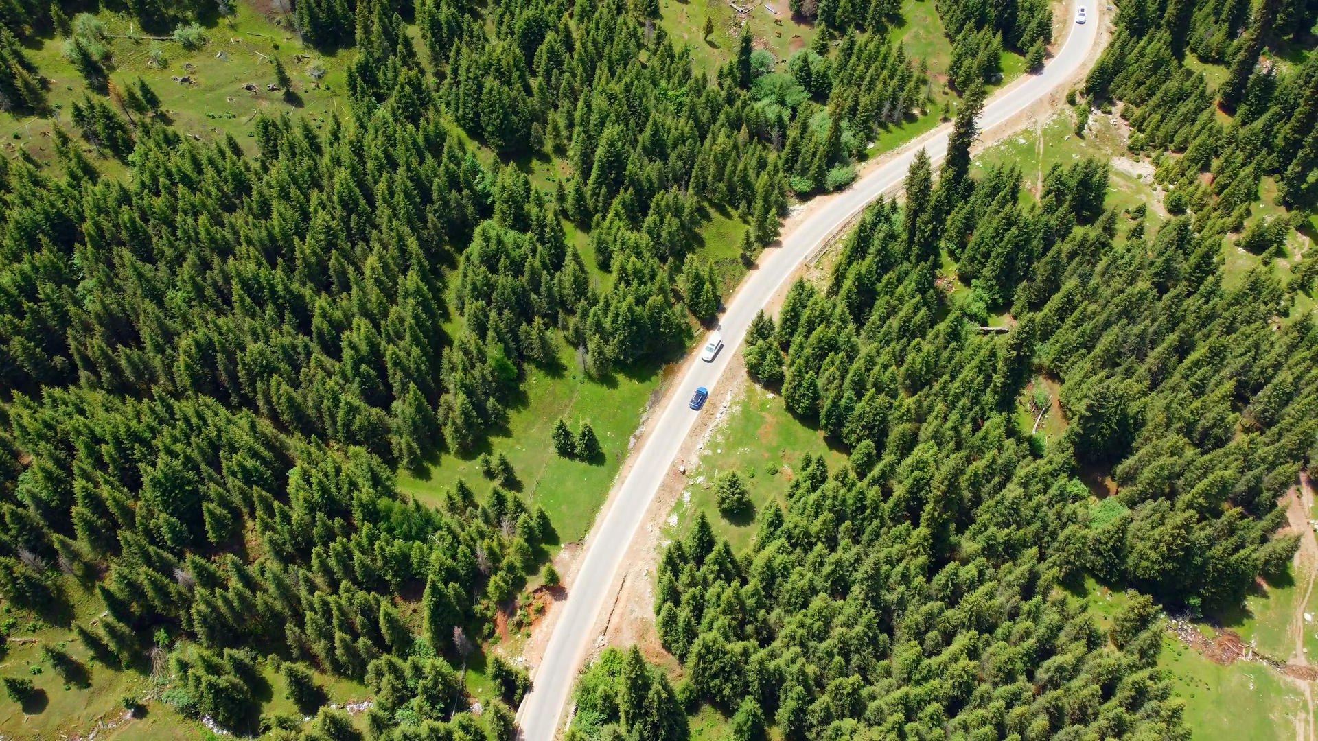 新疆伊犁琼库什台航拍森林里的公路视频的预览图