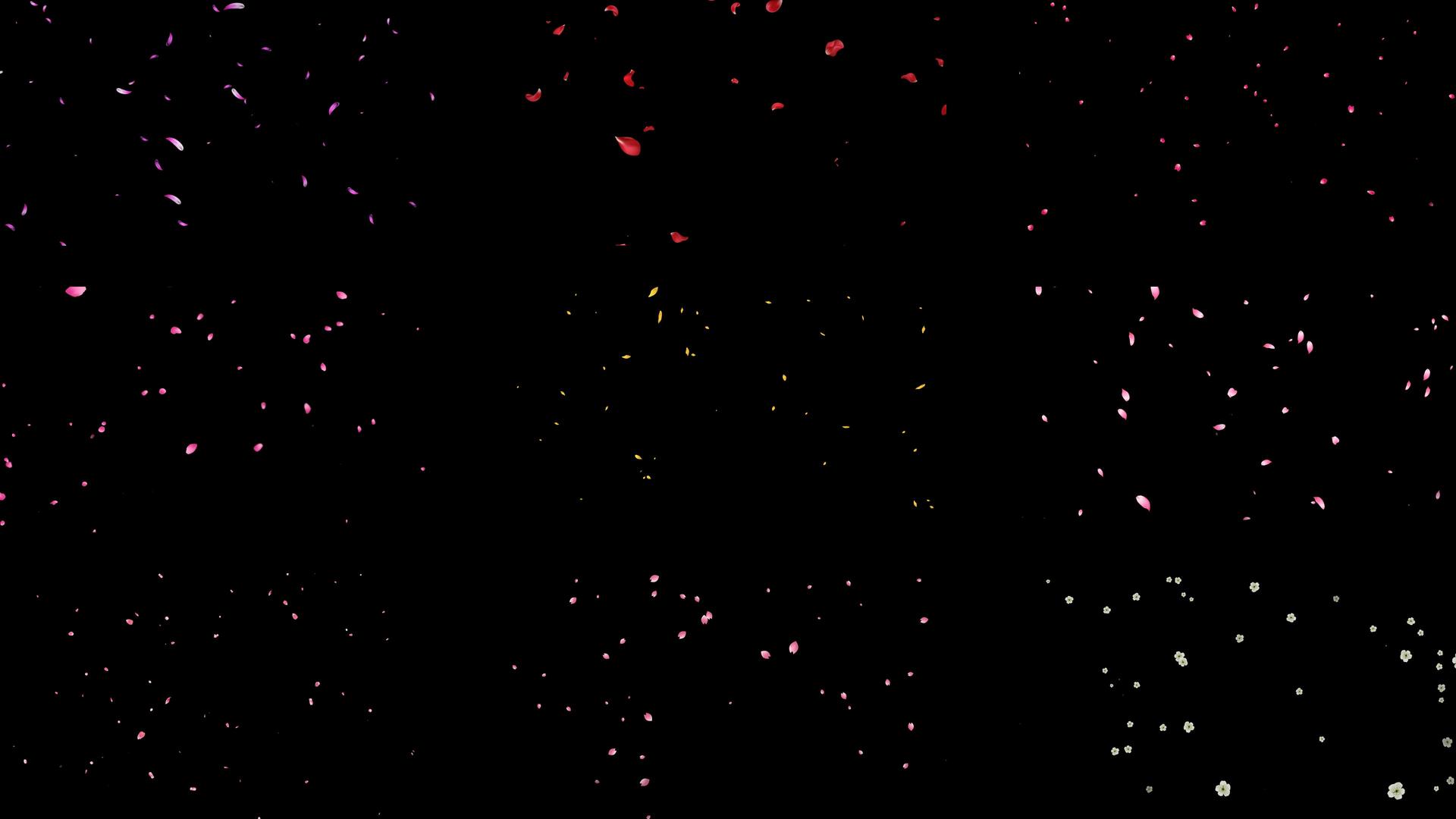 一组美丽的迎春花瓣飘落动画视频的预览图
