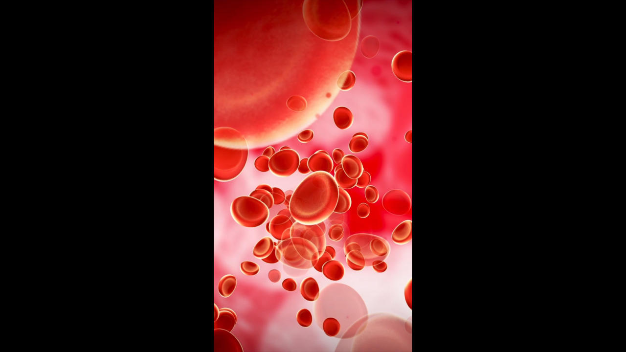 红细胞流动视频的预览图