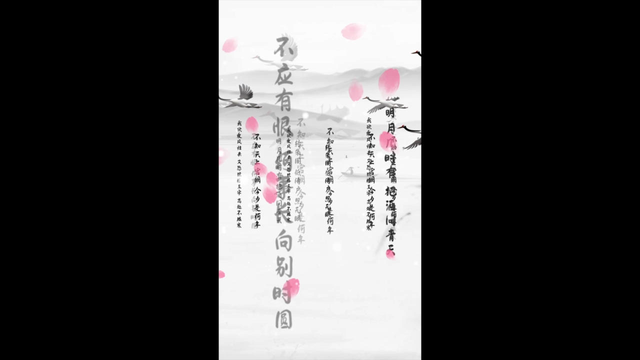 中国文化诗词文字视频的预览图