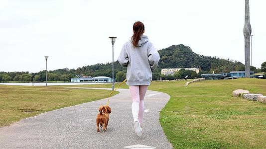 年轻女性在公园牵着狗跑步背影视频的预览图