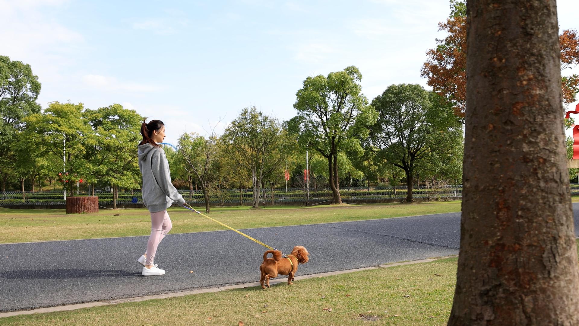 在公园和狗狗一起散步的运动女孩视频的预览图