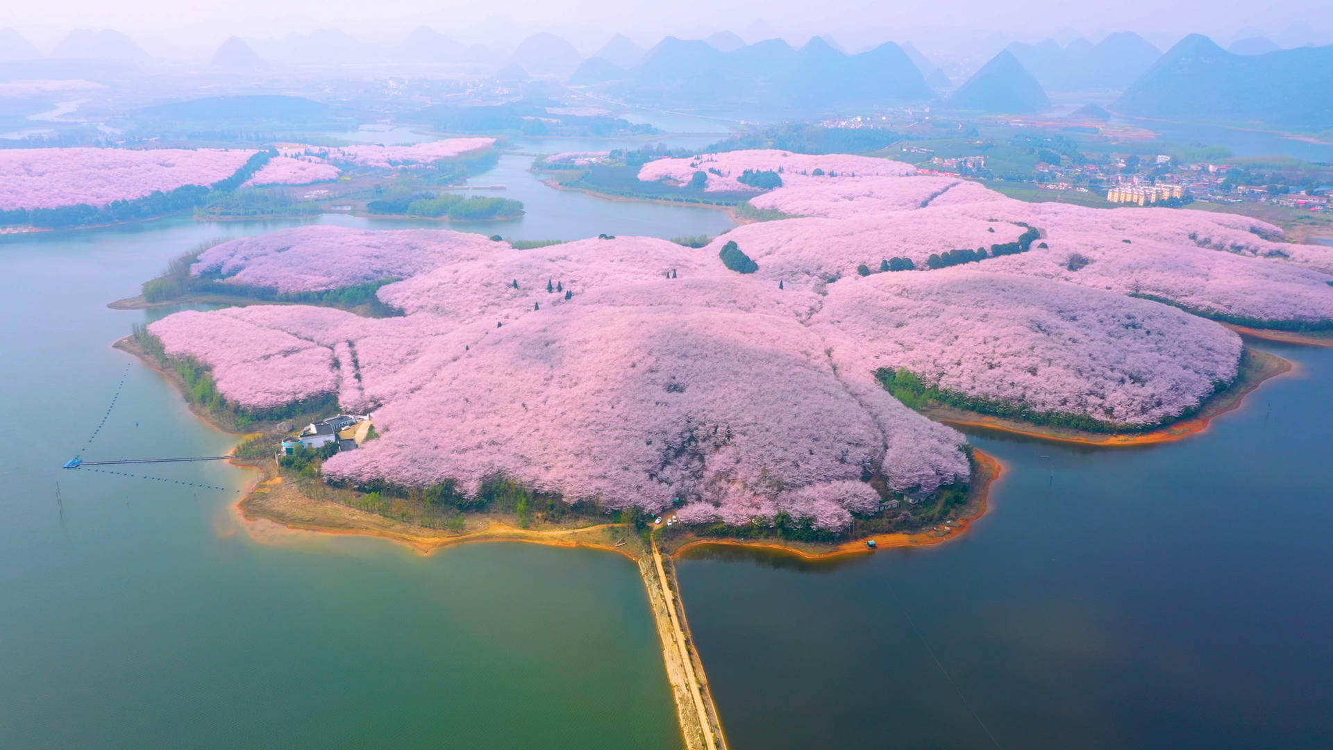 4k航拍贵州平坝樱花园全景素材视频的预览图