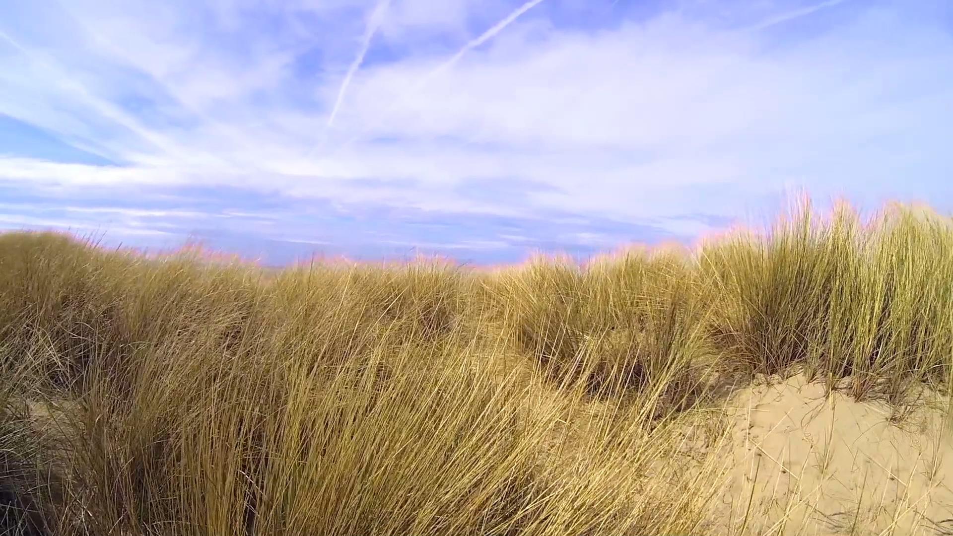 蓝天白云荒草沙漠视频的预览图
