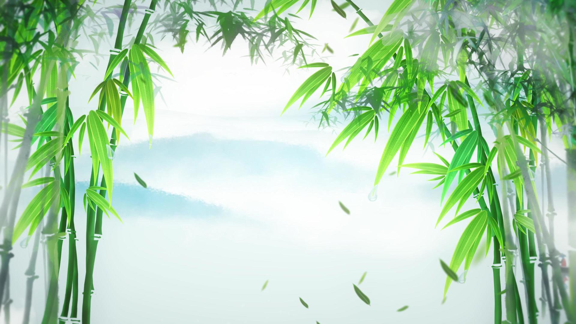 4K中国风竹林竹子背景视频视频视频的预览图