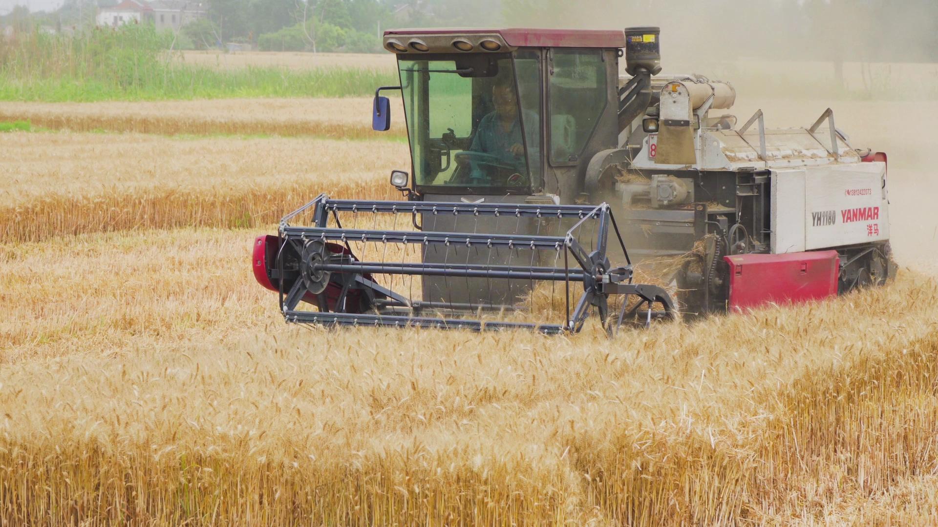 4K实拍农忙机械化收割麦子农业丰收视频的预览图