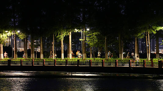 城市夜景街景健身运动的人流4k素材视频的预览图