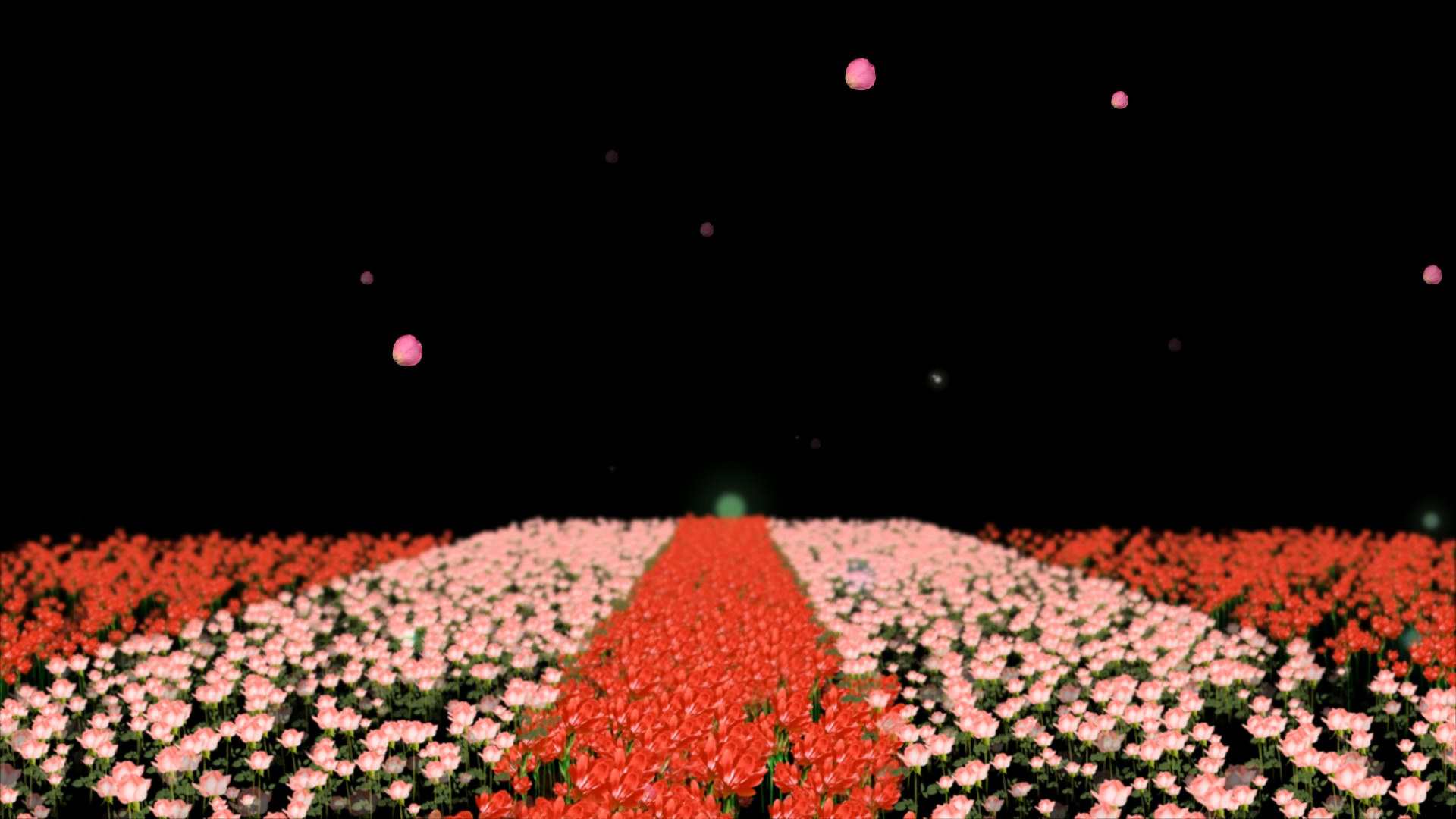 透明通道鲜花装饰素材视频的预览图