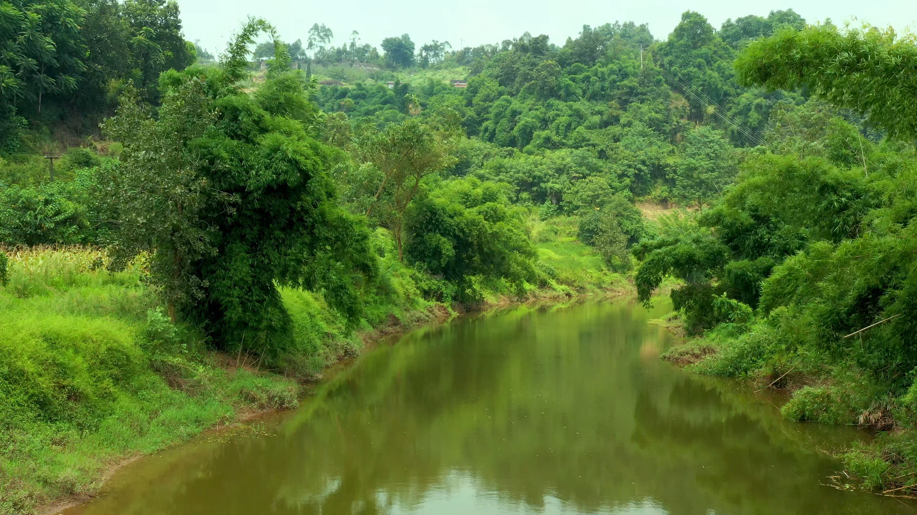 4K航拍清晨农村小溪流水视频素材视频的预览图