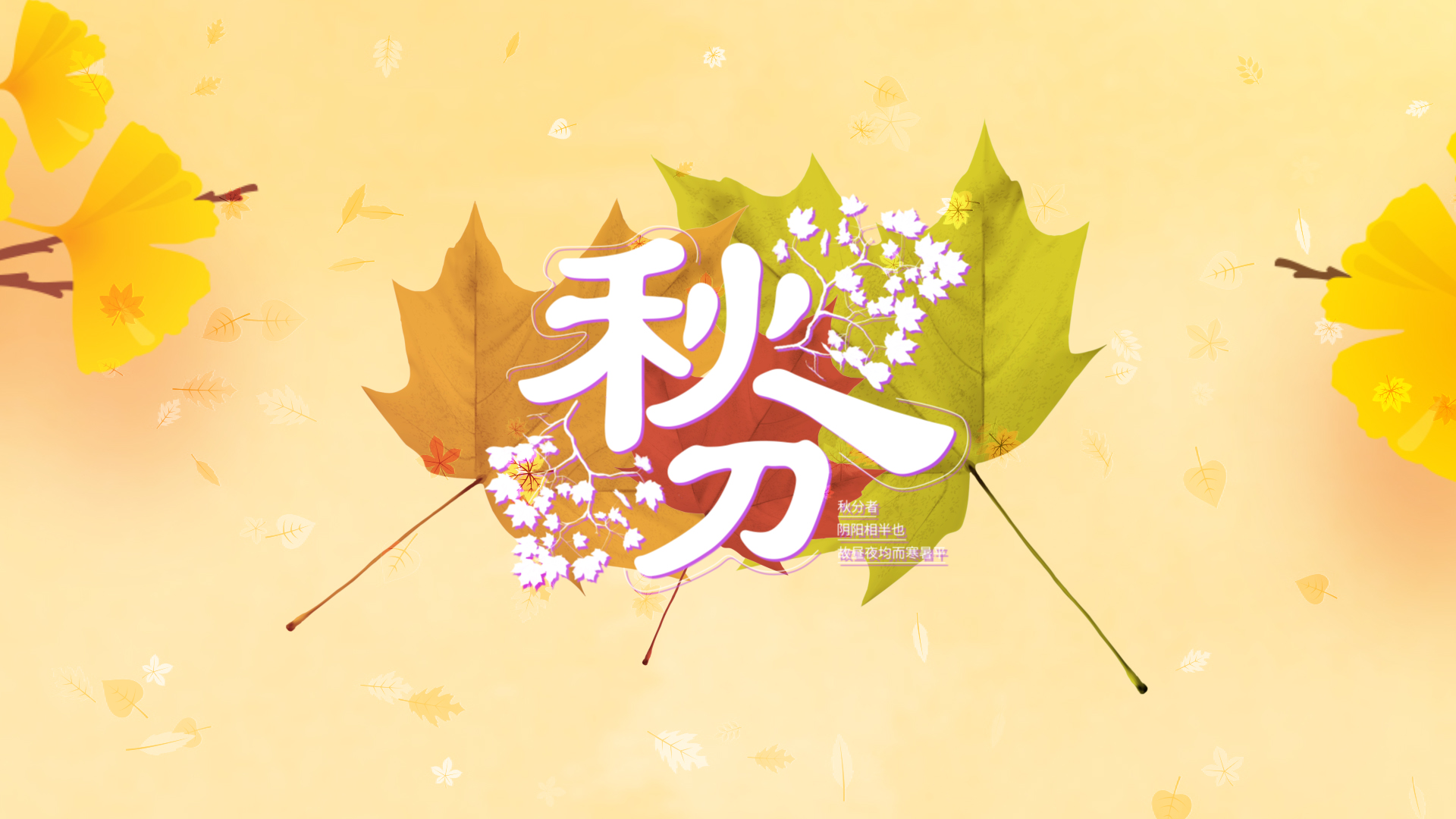 黄色落叶秋分节气视频ae模板视频的预览图