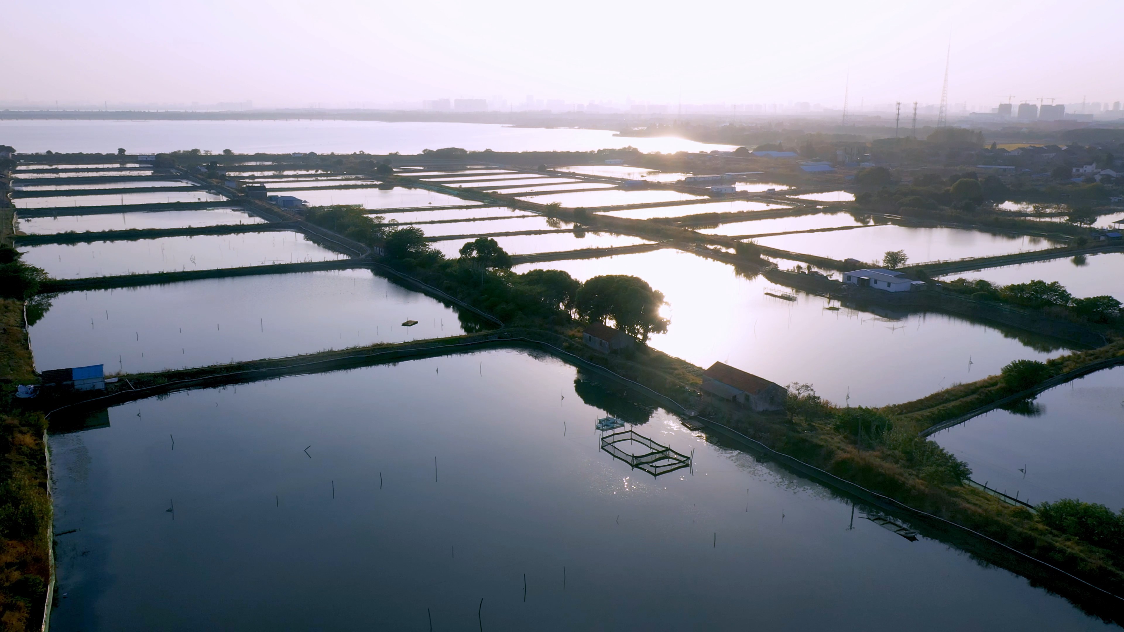 4K实拍唯美成片的养鱼池农业视频素材视频的预览图