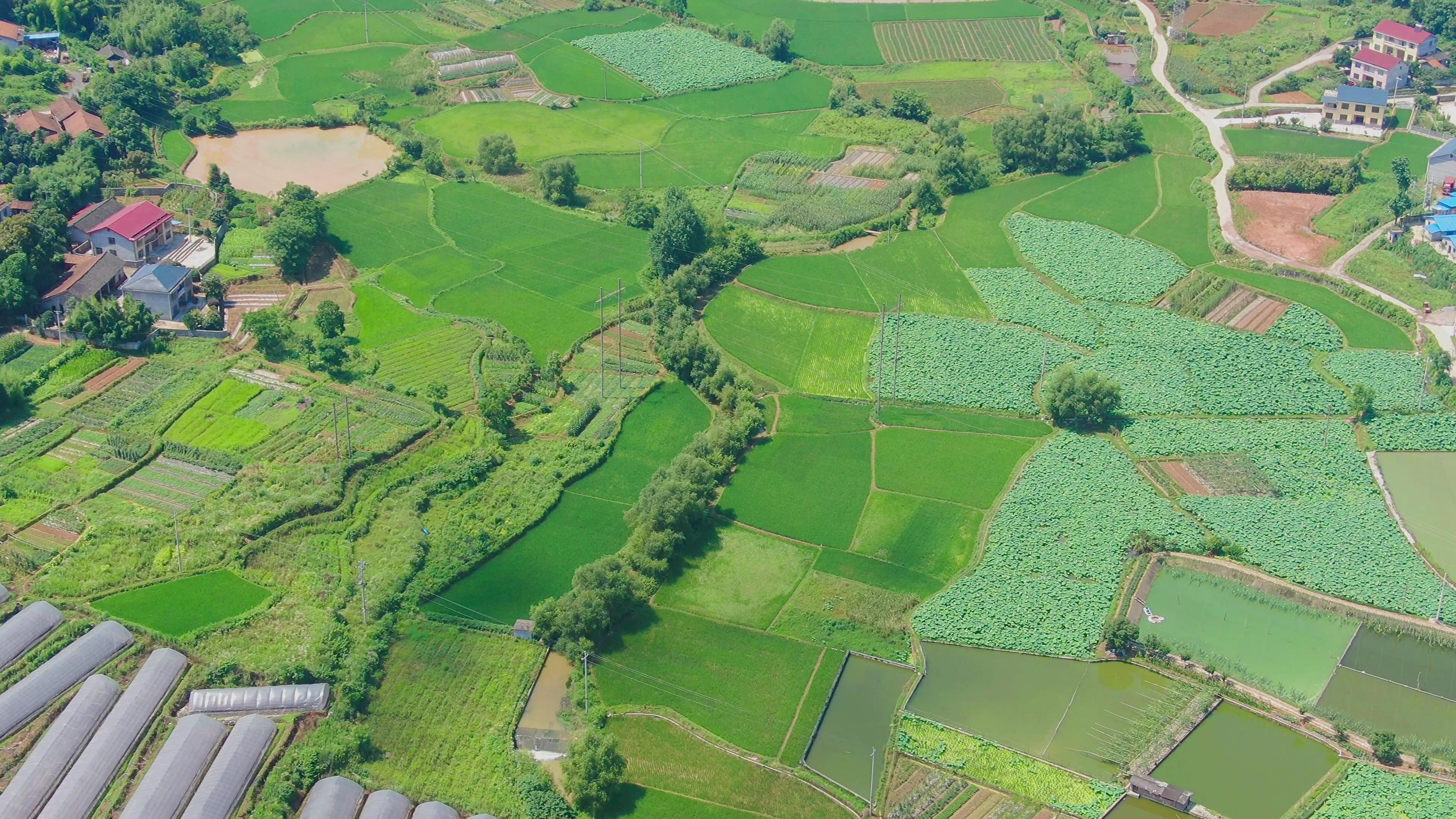 4K航拍农业农田种植保护区视频的预览图