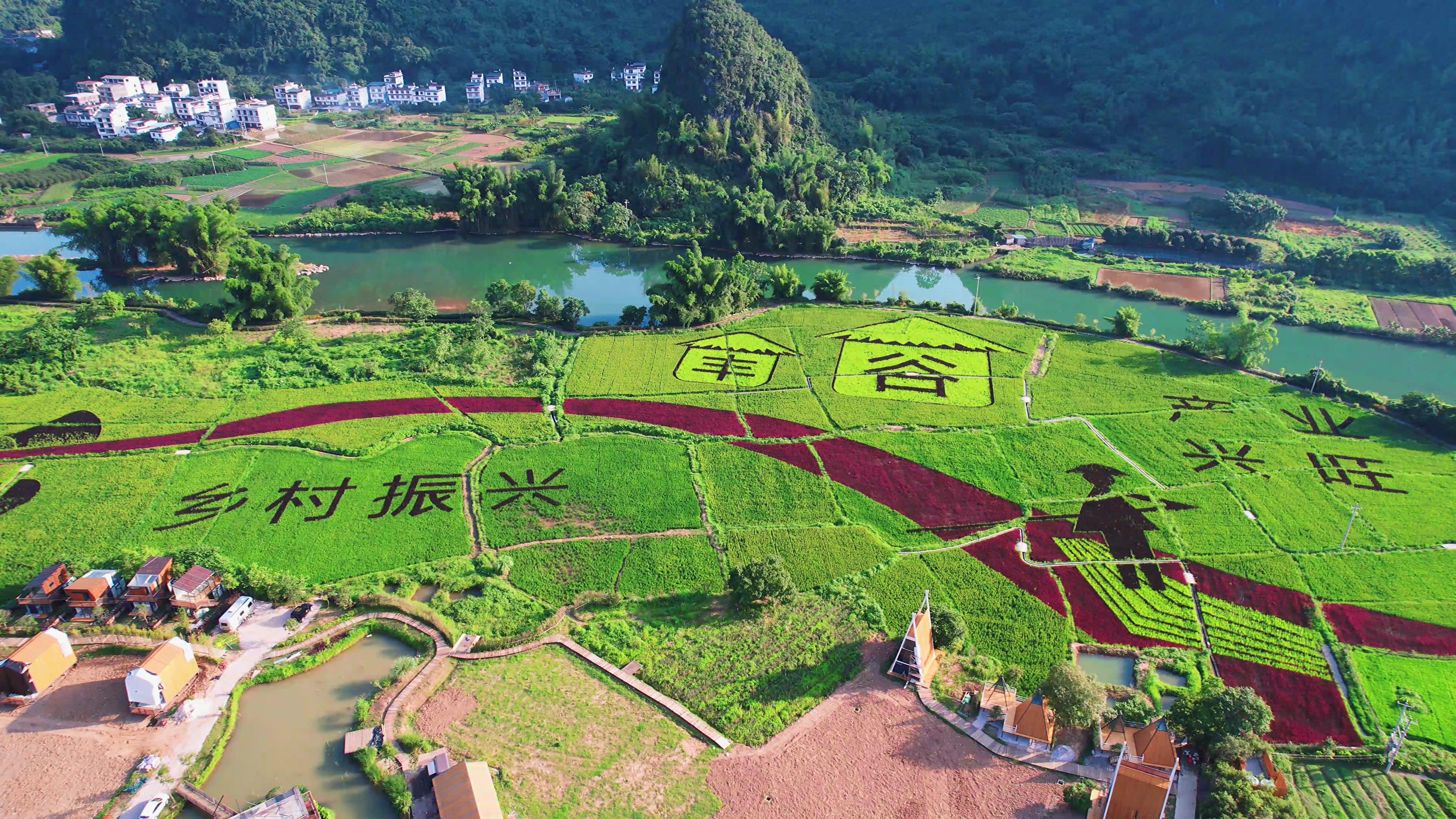 5.4k3D稻田网红稻田风光旅游风景区视频的预览图
