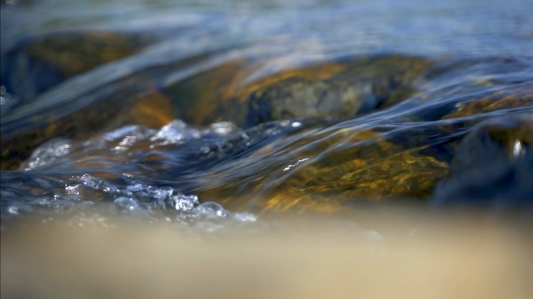 1080P升格拍摄水流水花溪水视频的预览图