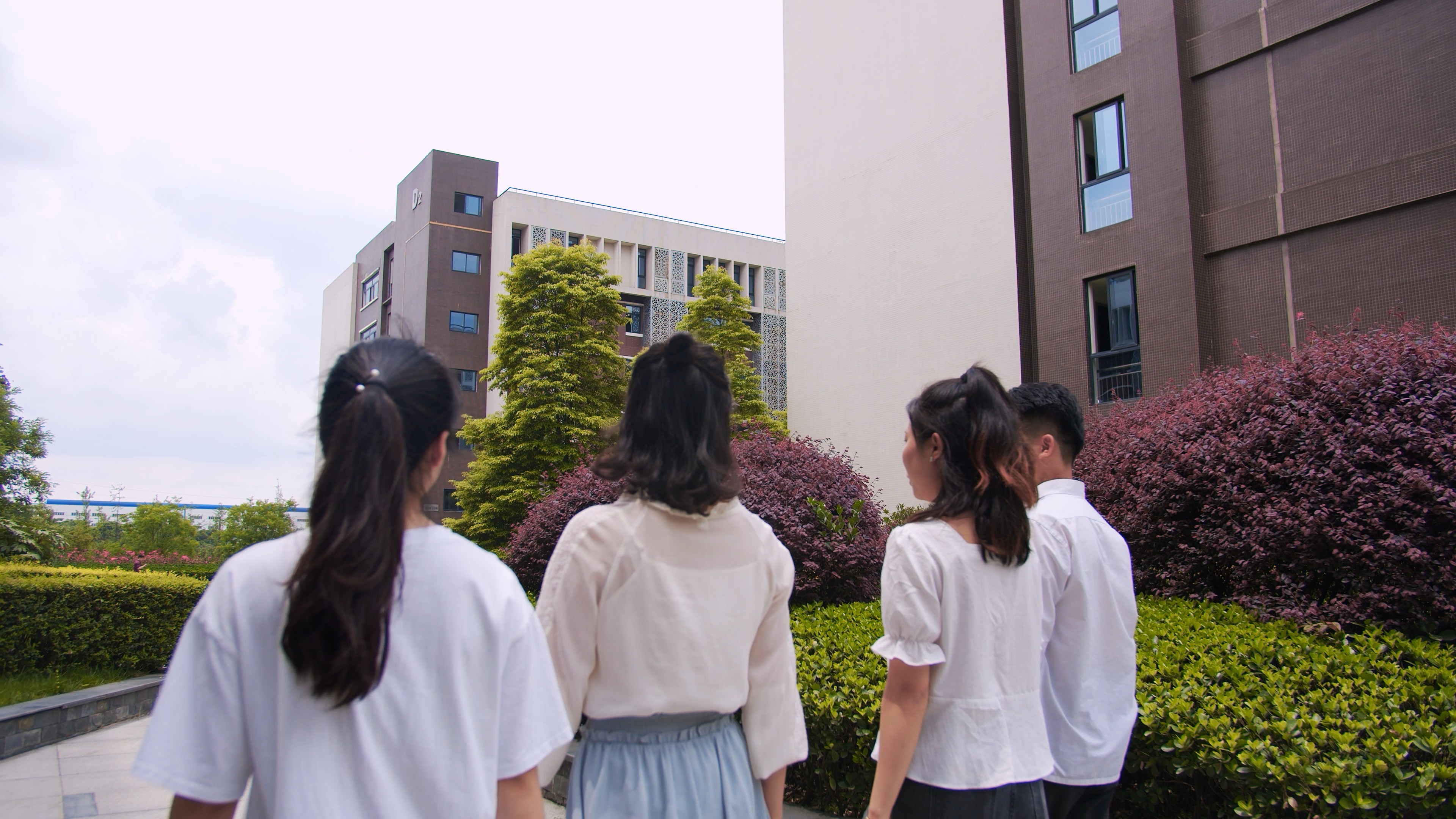4K实拍一群毕业生学生年轻人背影视频的预览图
