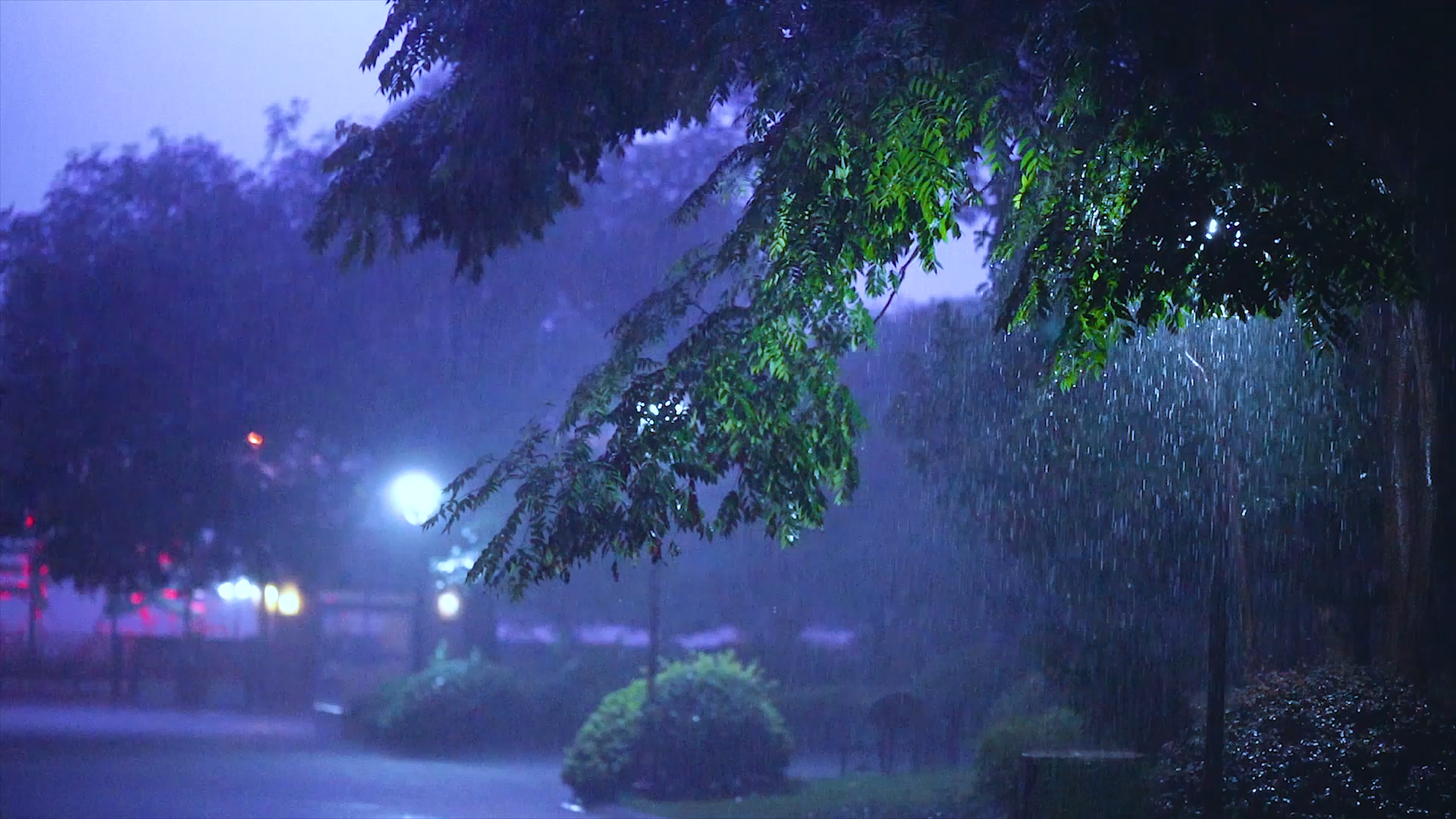 4k实拍夏季雷雨大暴雨夜景风光打雷下雨城市夜晚下雨素材视频街道视频的预览图