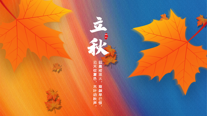卡通二十四节气立秋节气枫叶黄色视频海报AE模板视频的预览图