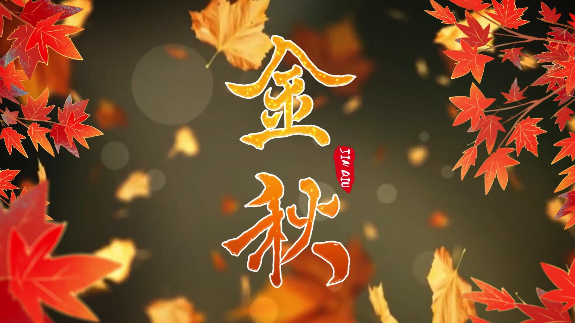 大气震撼秋天枫叶飘落横版片头AE模板视频的预览图