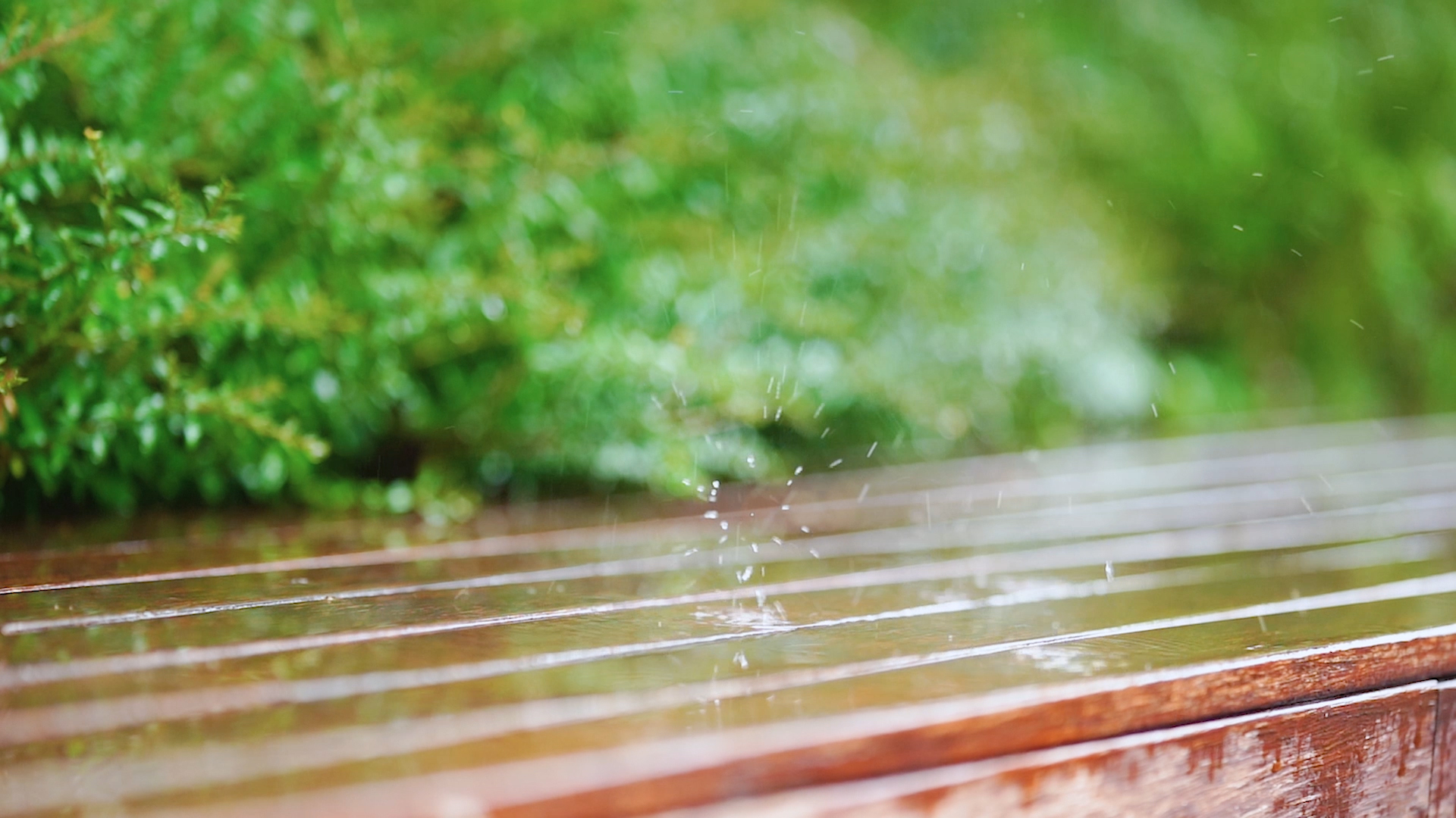 4k实拍唯美治愈意境下雨天雨水滴落木板上风光视频的预览图