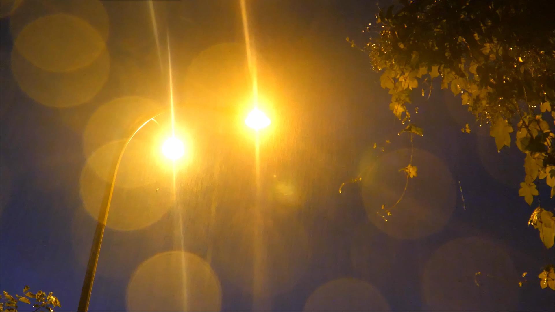 4K拍摄公路边路灯夜雨下雨意境升格视频的预览图