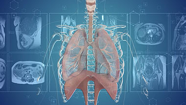 3D医疗化学生物人体肺部背景视频AE模板的预览图