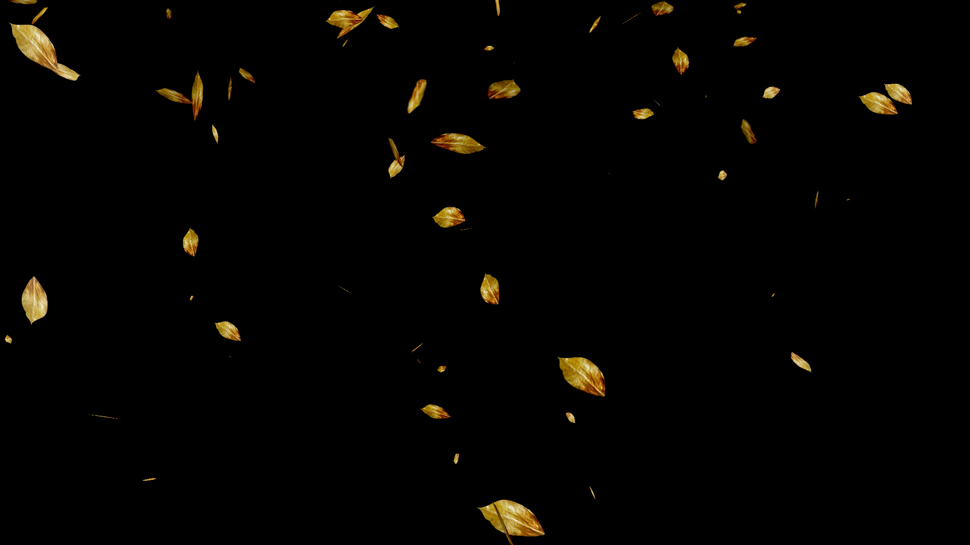 秋天黄色落叶树叶通道视频挂件装饰漂浮素材视频的预览图