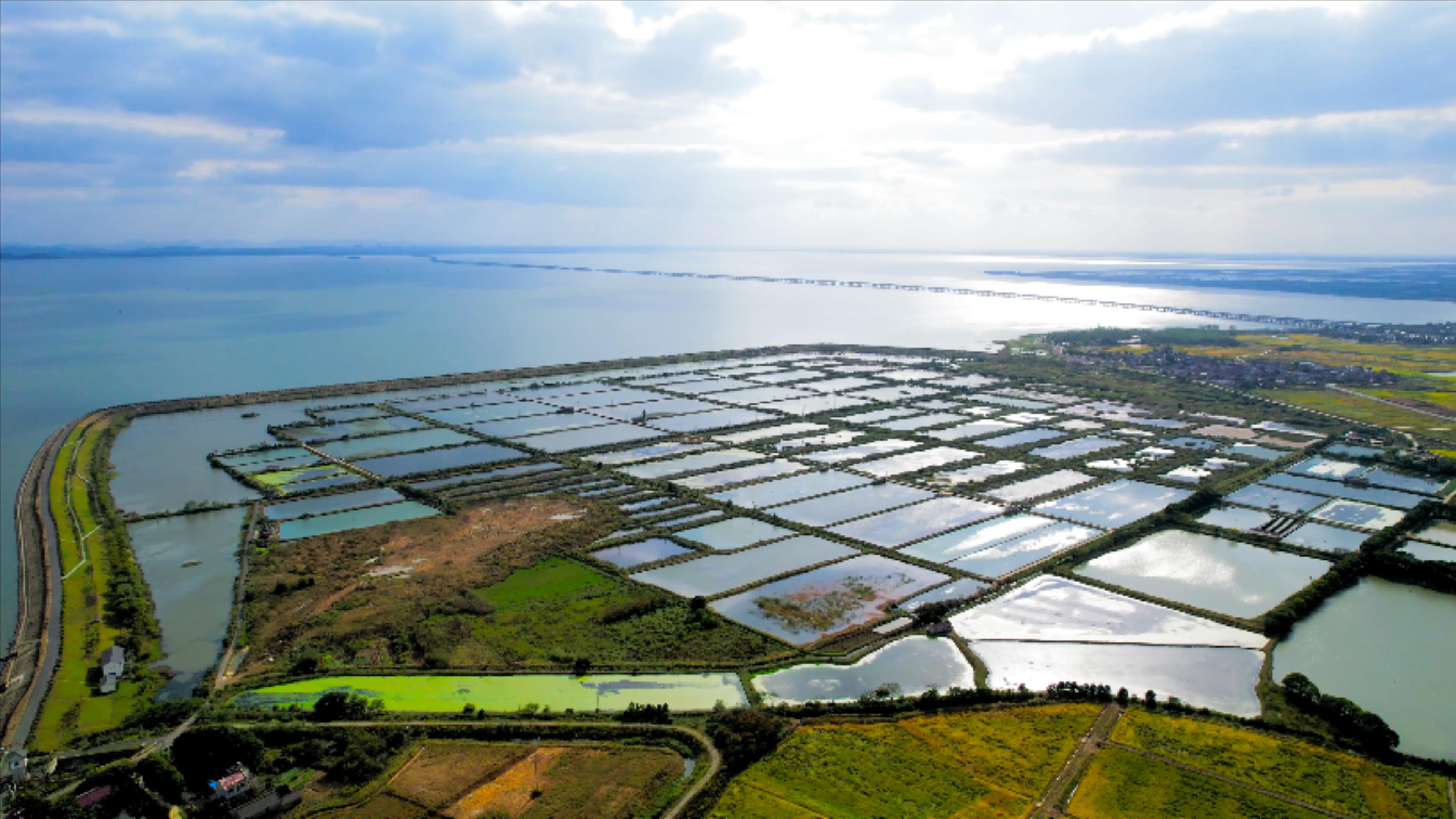 4K航拍大型水产品养殖基地全景视频的预览图