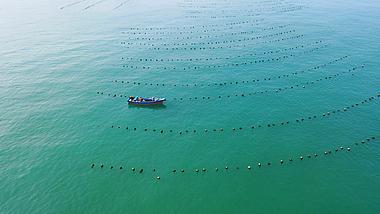 海洋牧场航拍海景渔船高清1080P视频视频的预览图