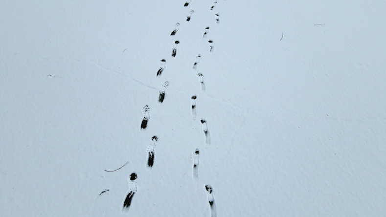 4K航拍冬天雪地脚印微电影空镜头意境情绪视频的预览图