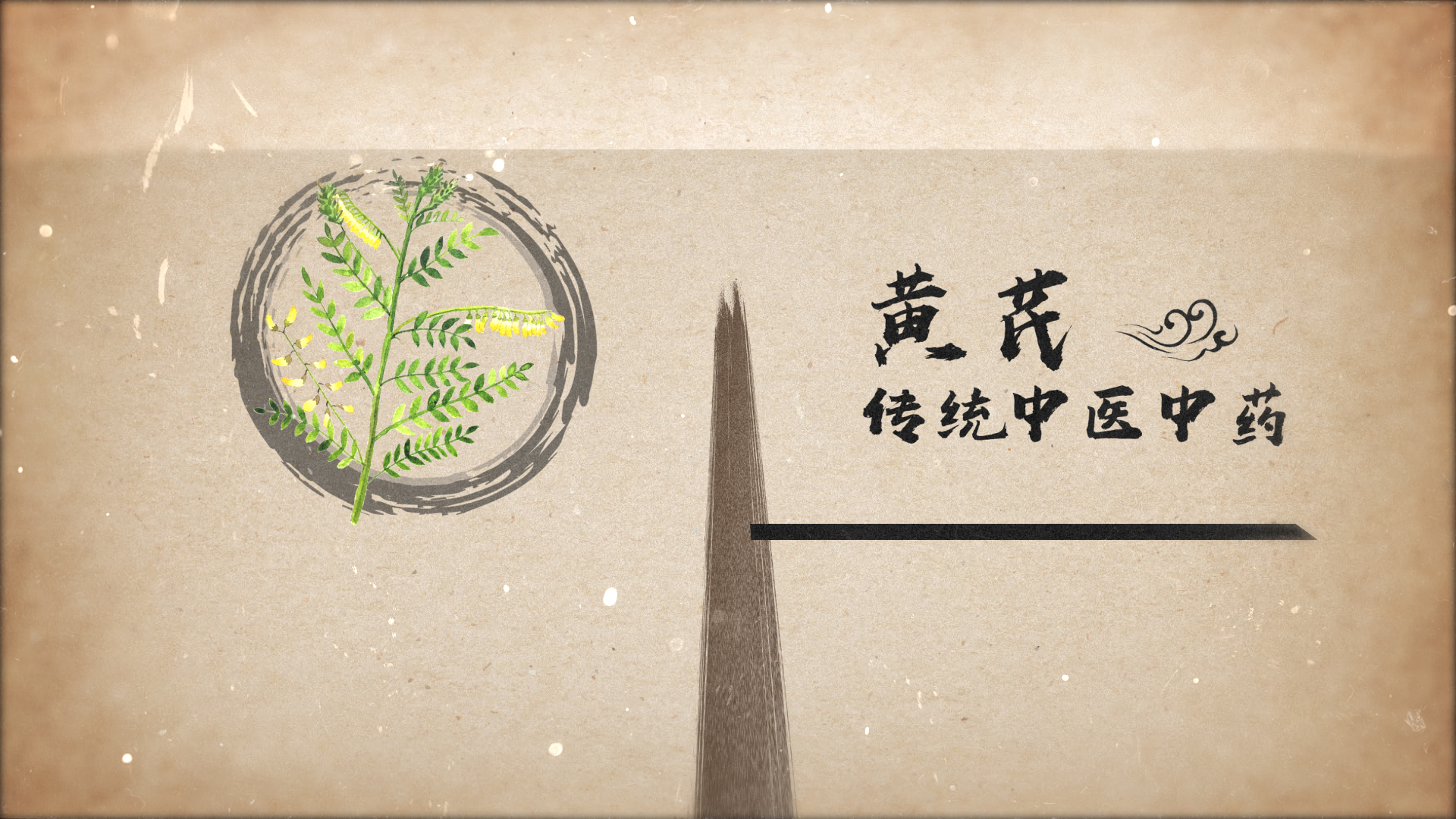 大气水墨笔刷穿梭中国风中医药材文化宣传视频ae模板视频的预览图