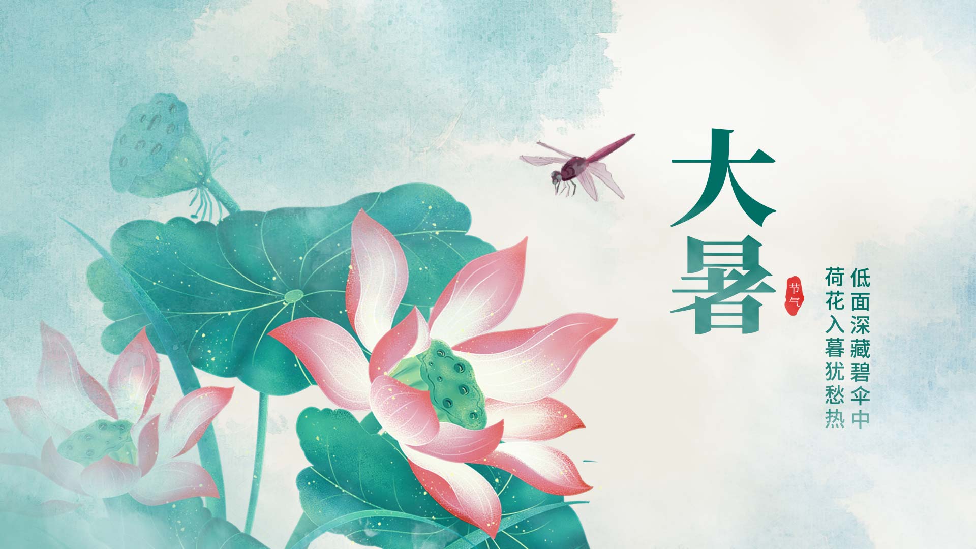 原创夏季大暑节气荷花蜻蜓中国风水墨片头AE视频模板视频的预览图